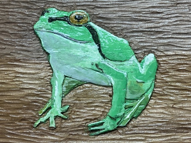 艶やかなアマガエル